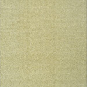 Contemporary Rectangle  Machine Made Sepia Rug