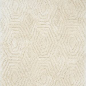 Shag Flokati Rectangle Synthetic Hand Tufted Rug CAPPCAP-01IV00507